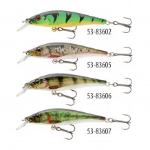 ColourC_Lure_Cormoran_ShallowIwashi60_PSAR_KO_5383606