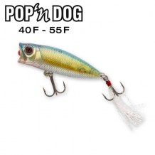 Vignette-pop-n-dog-40-55-2020